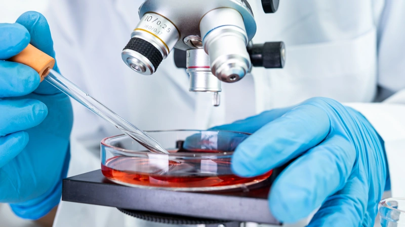 An image of a microscope