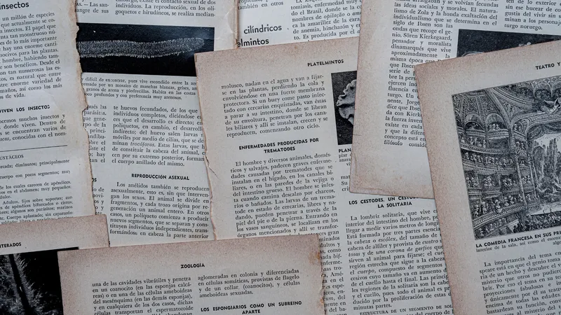 An image of different research papers