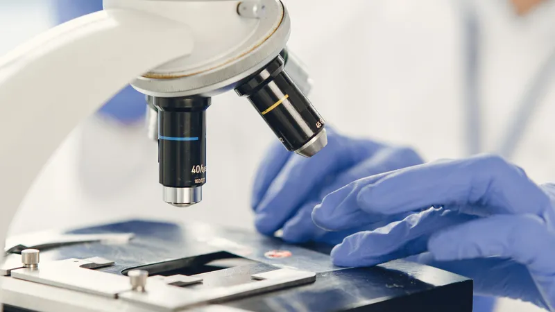An image of research under a microscope